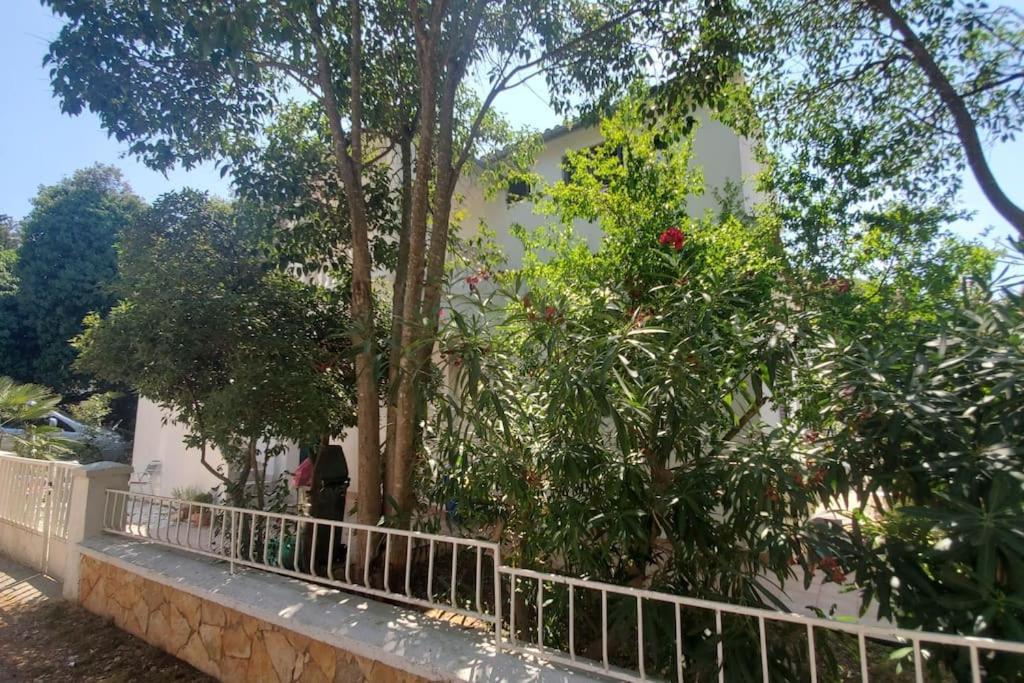 Apartmán Casa Blanca, Biograd Na Moru Exteriér fotografie