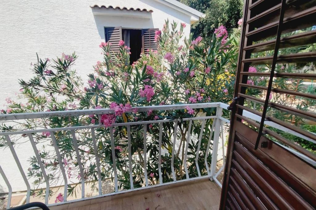Apartmán Casa Blanca, Biograd Na Moru Exteriér fotografie